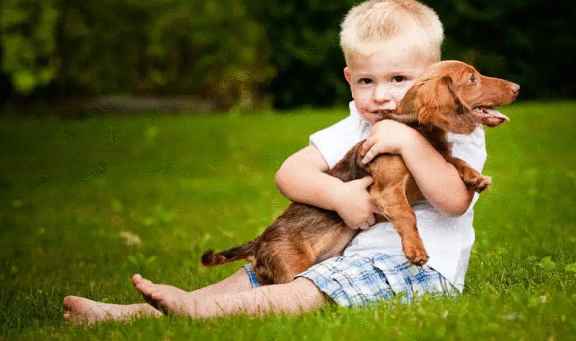 wienerpuppies.com