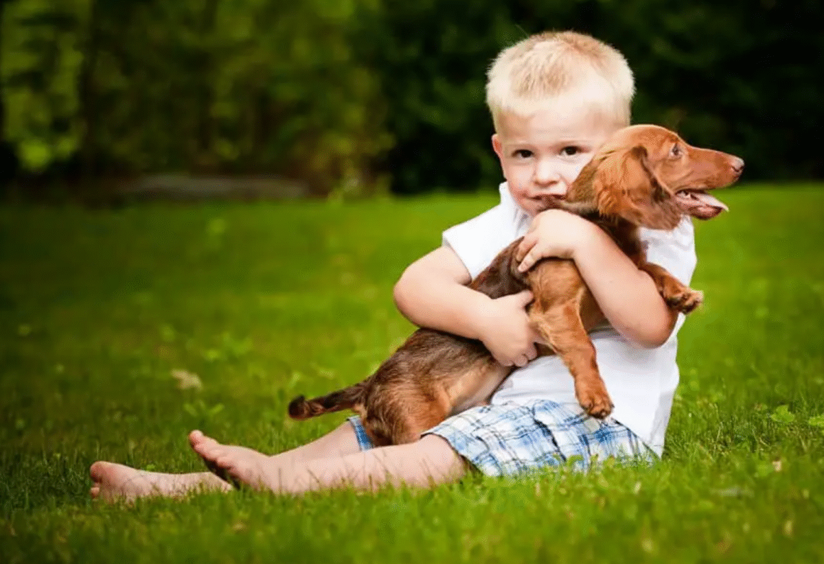 Are dachshunds good with kids