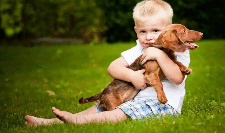 wienerpuppies.com